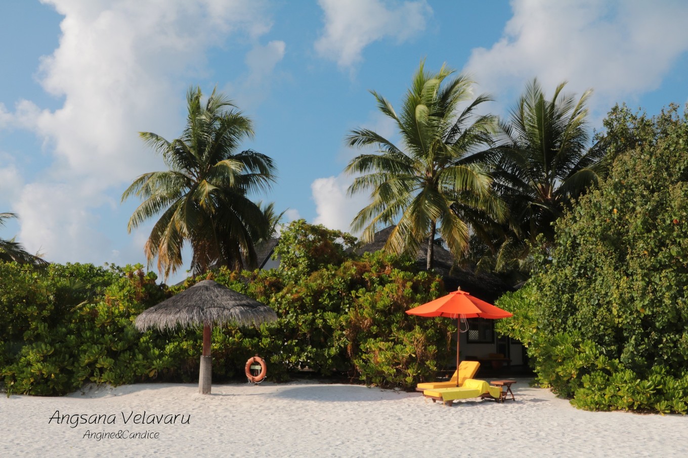 薇拉瓦鲁岛 Angsana Velavaru